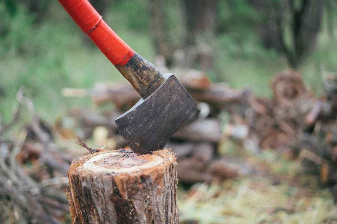 Emergency Storm Tree Removal in Red Lake, MN